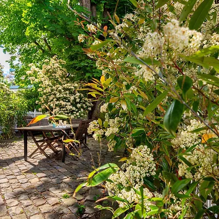 Grand & Classy With Private Garden, Des Ammonites Appartamento